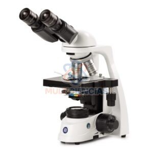 microscopio