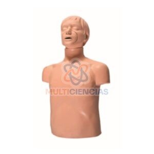 modelos anatomicos