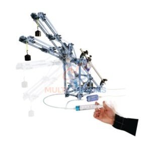 maqueta del sistema nervioso