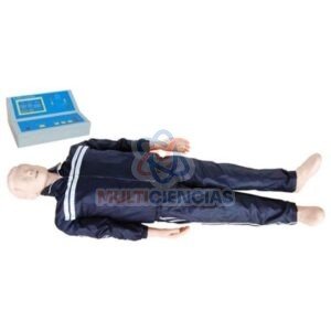 modelo anatomico del cuerpo humano