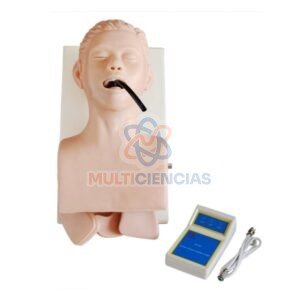 modelos anatomicos