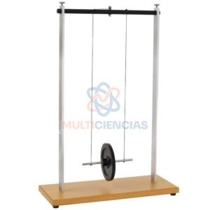 rueda de maxwell