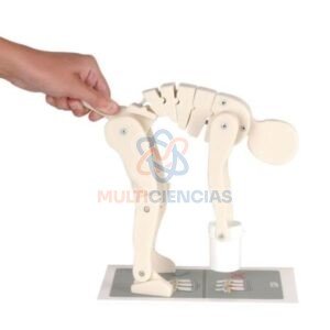venta de material de vidrio para laboratorio